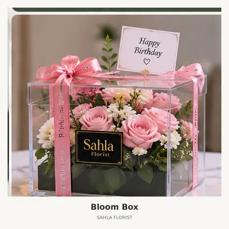 Bloom Box Cinambo